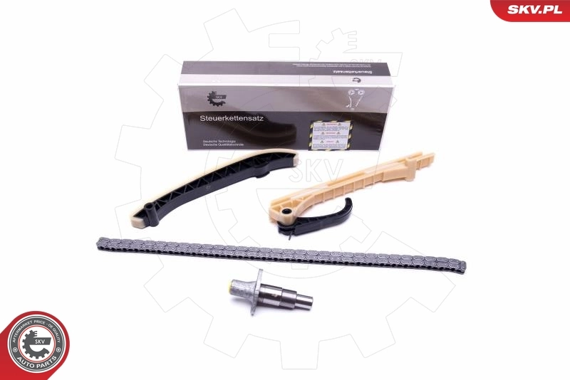 Timing Chain Kit